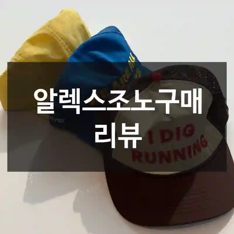 알렉스조노구매 리뷰