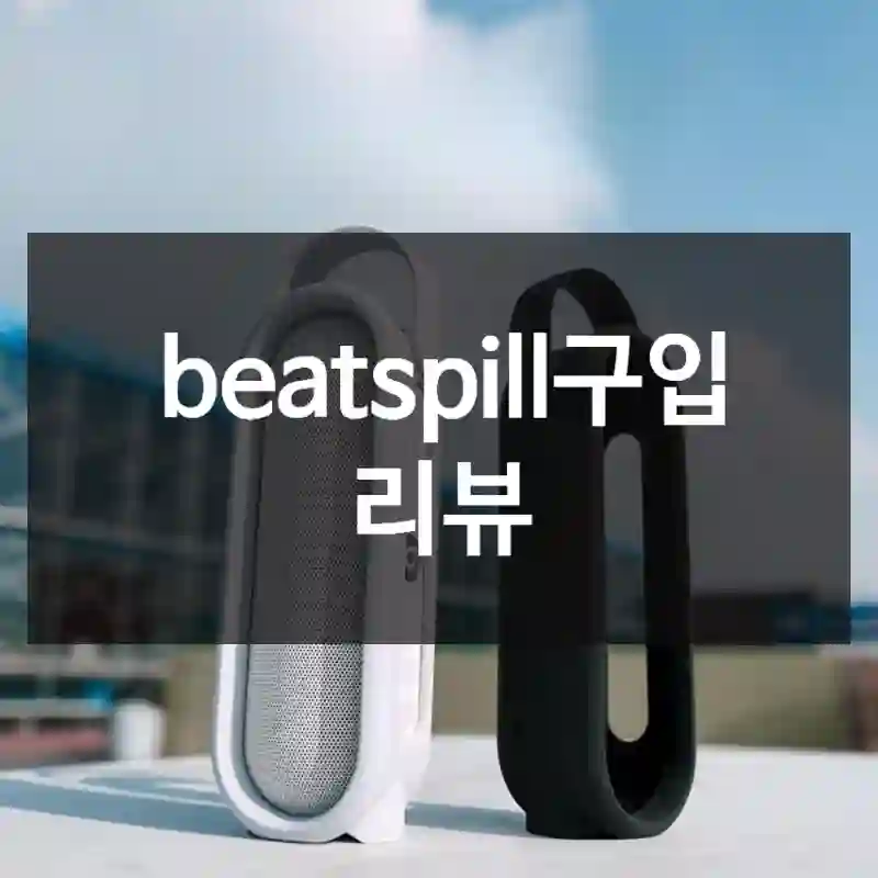 beatspill구입 리뷰