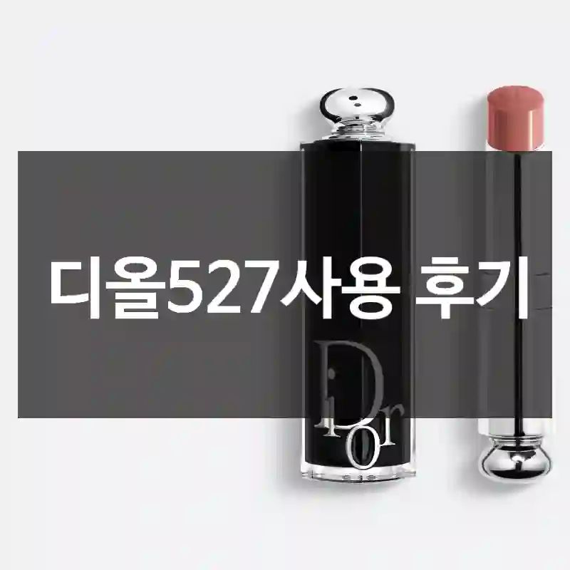 디올527사용 후기